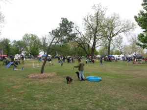 Barkwalk 2013 - Park Tulsa